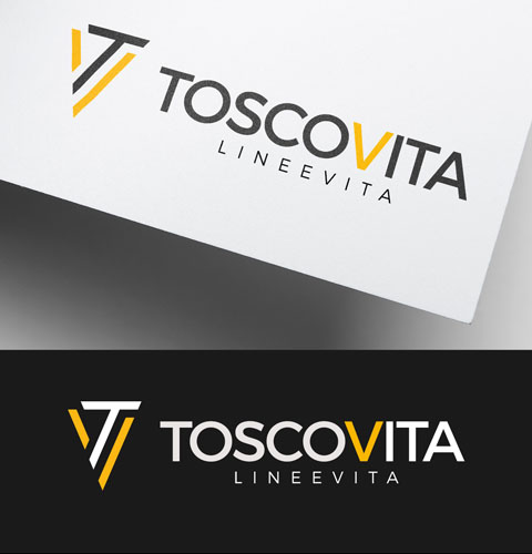 creazione logo azienda che produce linee vita anticaduta 