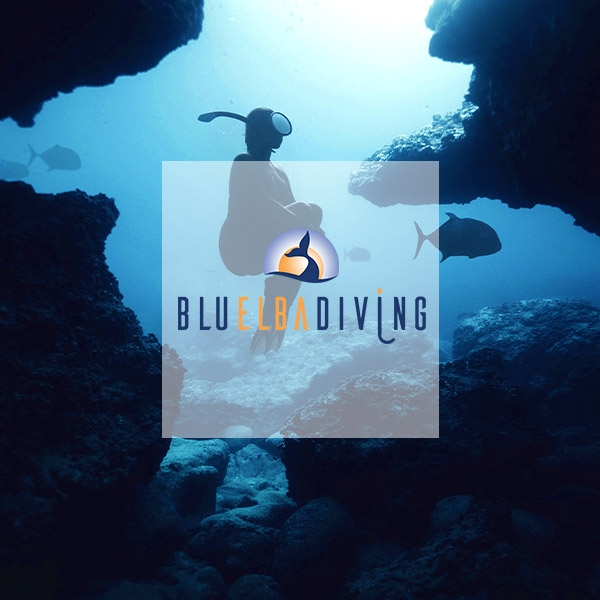 Grafica logo aziendale e sito web per diving center all'isola d'elba