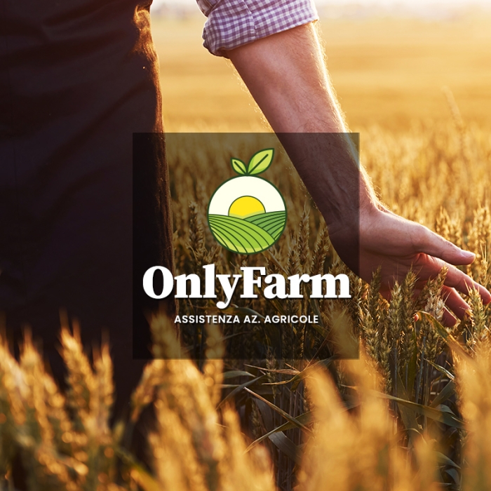 Realizzazione sito web per azienda di consulenza per aziende agricole ad arezzo
