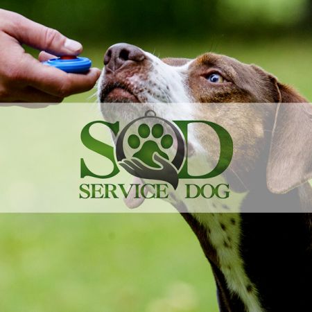 Realizzazione sito web per centro cinofilo: addestramento cani ad arezzo
